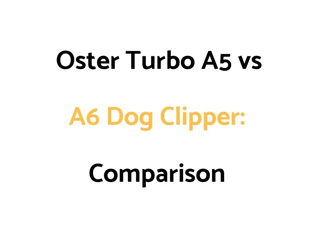 Oster Turbo A5 vs A6 Dog Clipper Comparison Guide