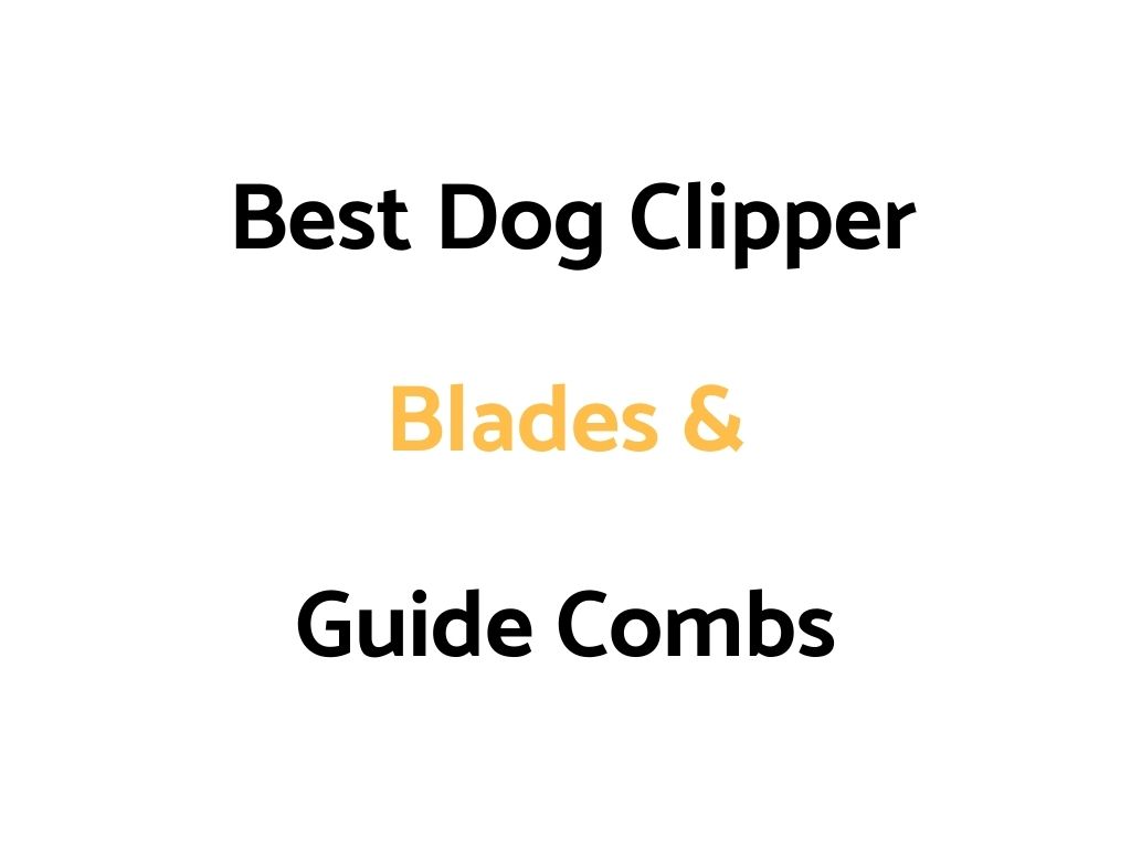 Best Dog Clipper Blades & Guide Combs