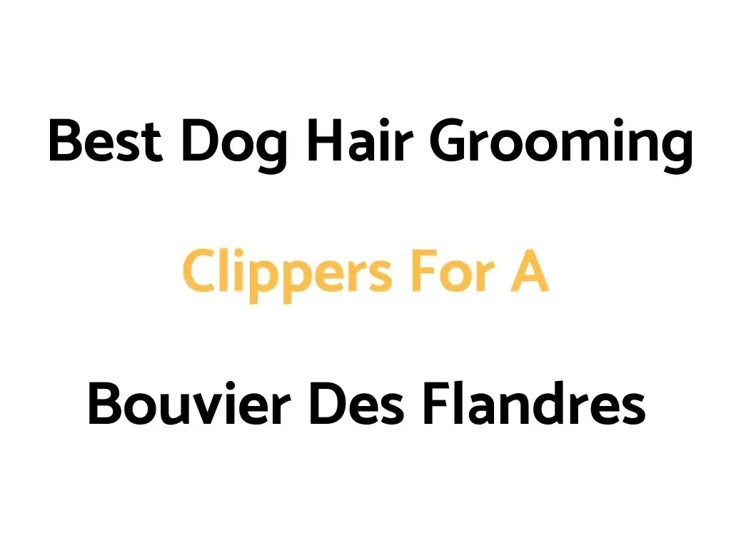 Best Dog Hair Grooming Clippers For A Bouvier Des Flandres