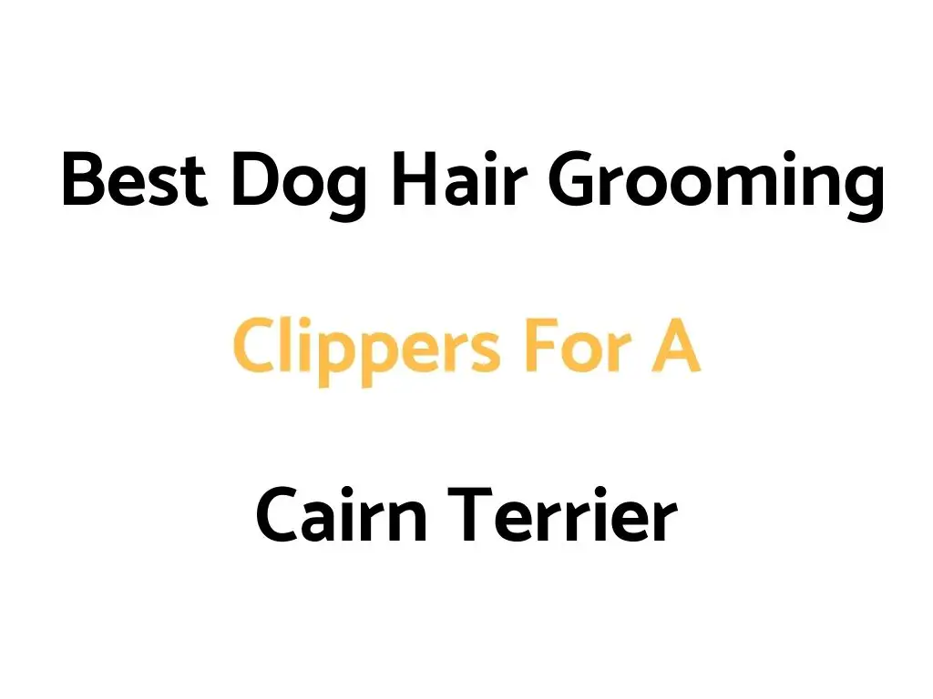 Best Dog Hair Grooming Clippers For A Cairn Terrier