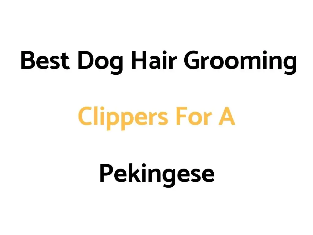 Best Dog Hair Grooming Clippers For A Pekingese