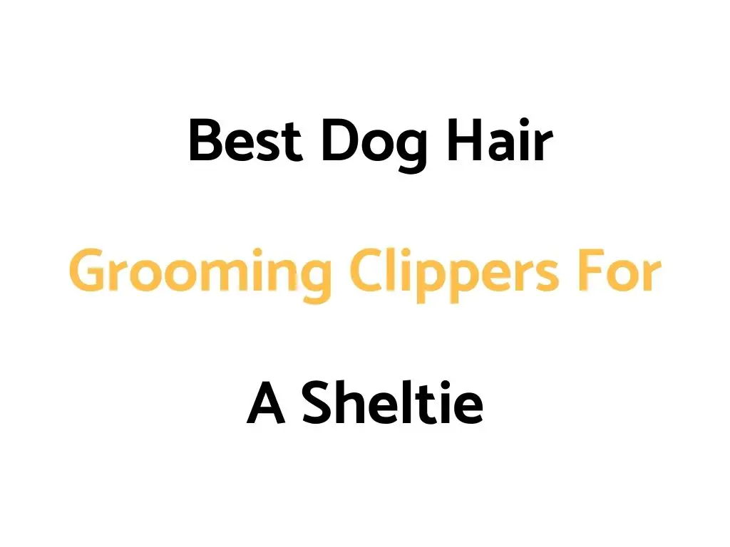 Best Dog Hair Grooming Clippers For A Shetland Sheepdog (Sheltie)
