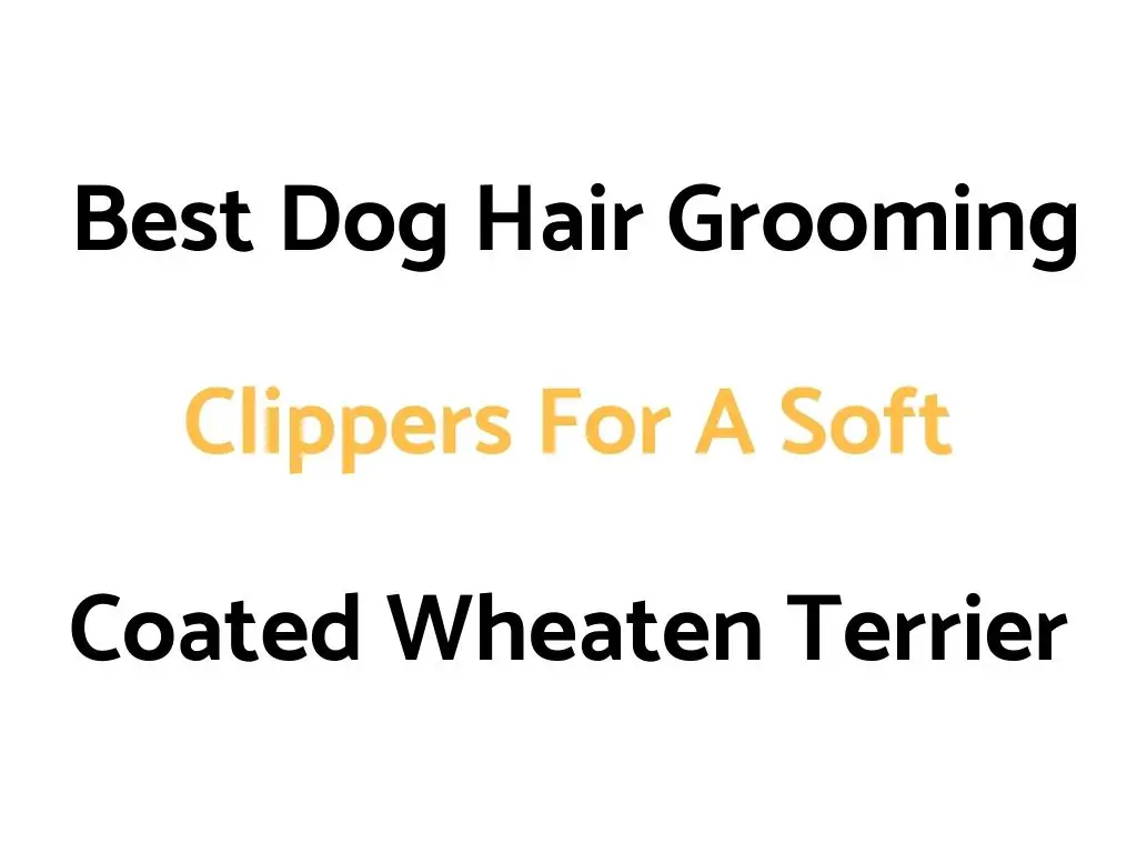 Best Dog Hair Grooming Clippers For A Soft Coated Wheaten Terrier