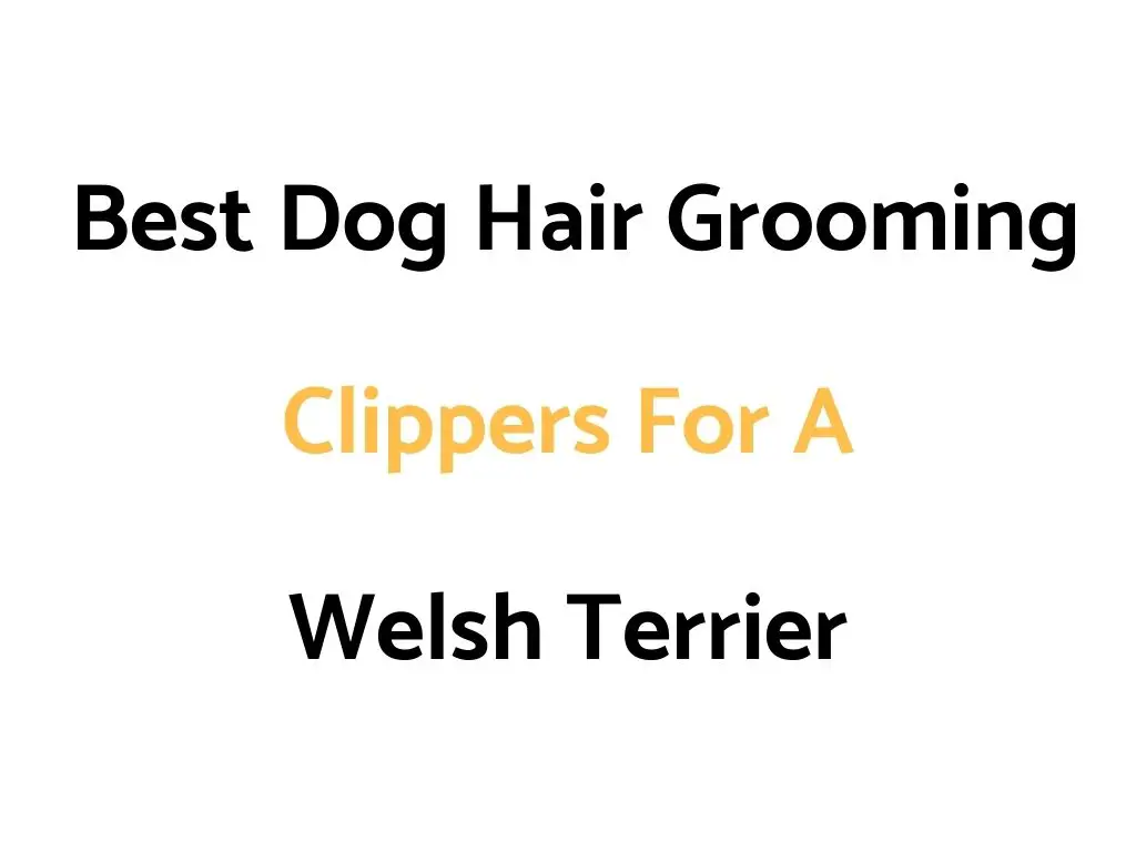 Best Dog Hair Grooming Clippers For A Welsh Terrier