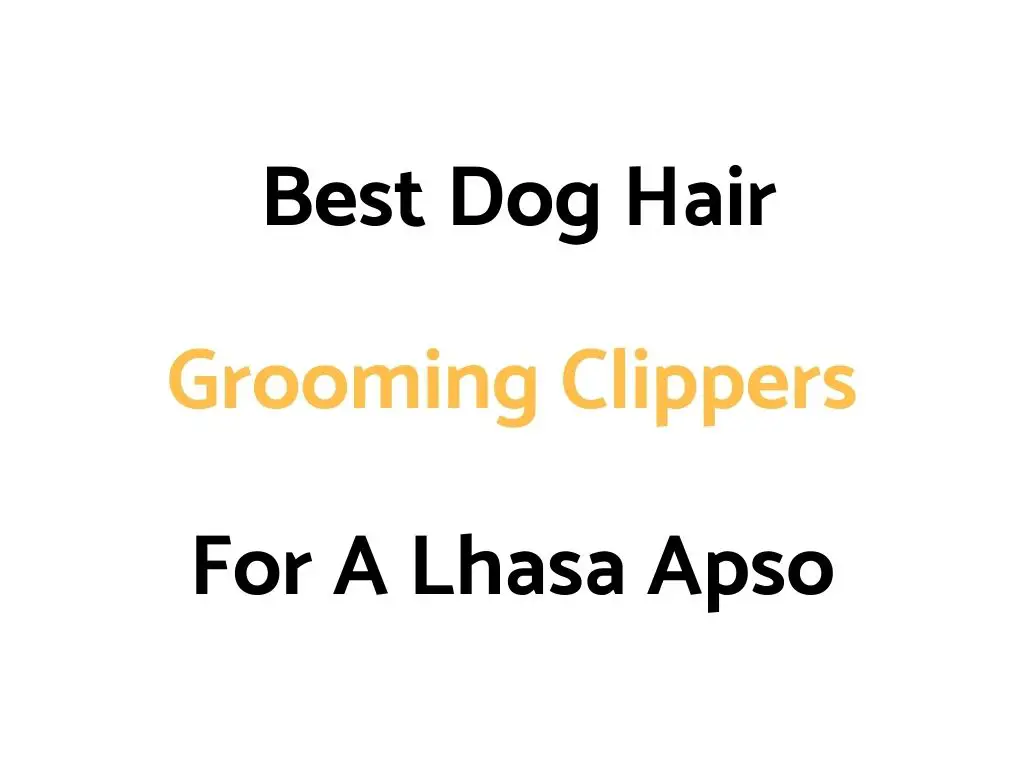 Best Dog Hair Grooming Clippers For A Lhasa Apso