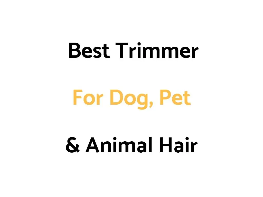Best Trimmer For Dog, Pet & Animal Hair