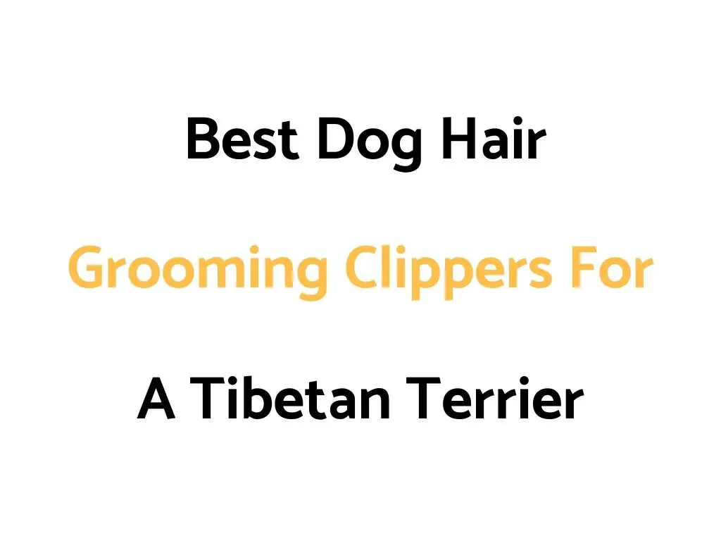 Best Dog Hair Grooming Clippers For A Tibetan Terrier