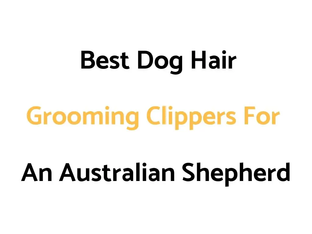 Best Dog Hair Grooming Clippers For An Australian Shepherd