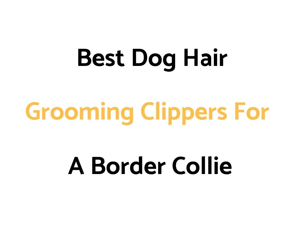 Best Dog Hair Grooming Clippers For A Border Collie