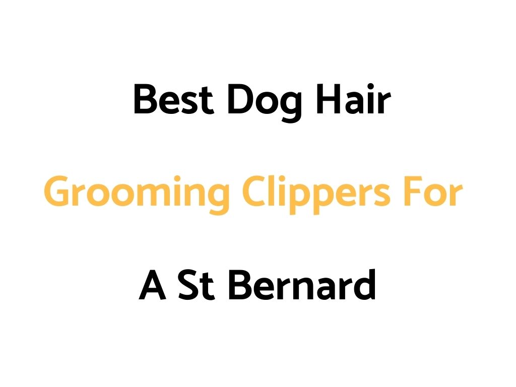 Best Dog Hair Grooming Clippers For A St Bernard