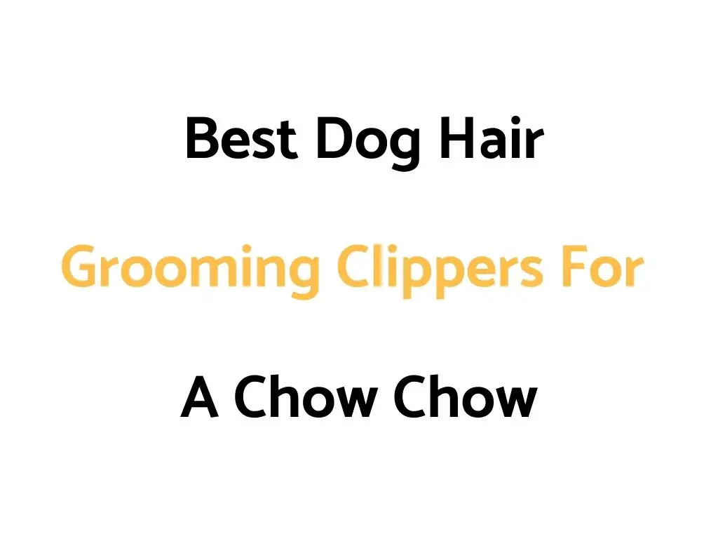 Best Dog Hair Grooming Clippers For A Chow Chow