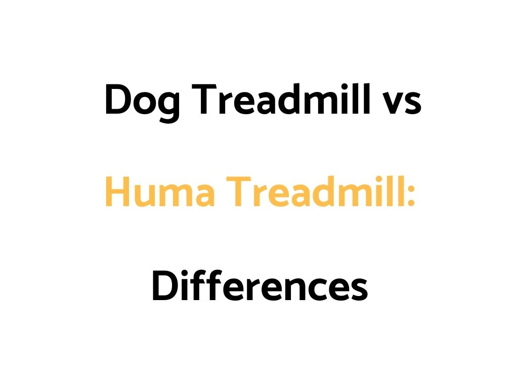 Dog Treadmill vs Human Treadmill: 14 Key Differences, & Which Is Better?