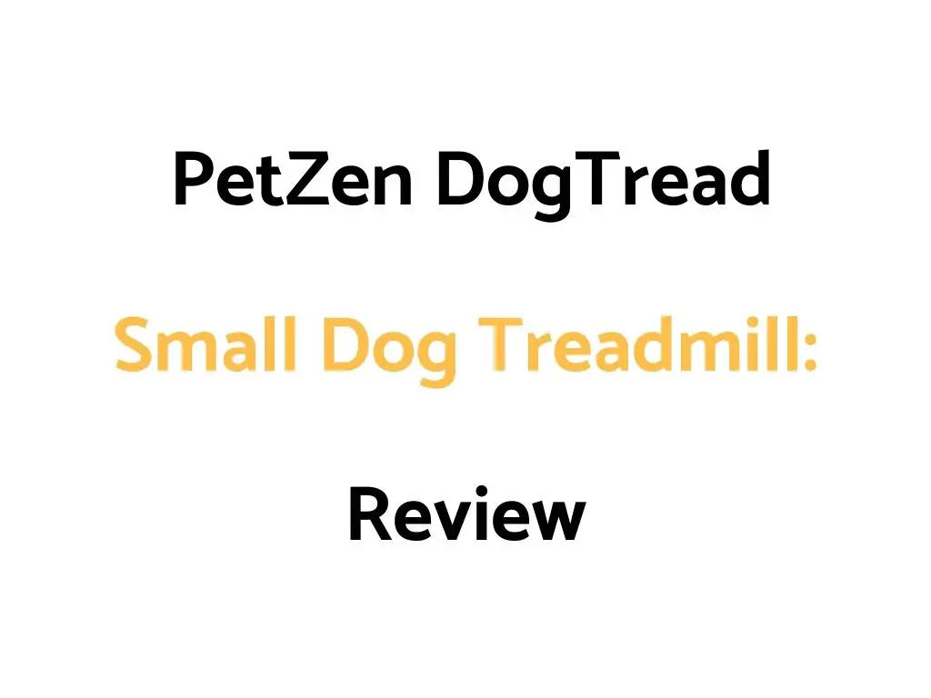 PetZen DogTread Small Dog Treadmill: Review & Buyer's Guide