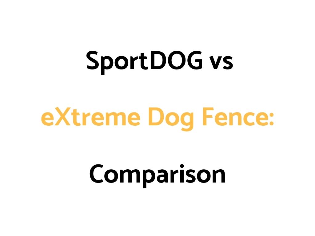 SportDOG vs eXtreme Dog Fence: Comparison, & Which To Get