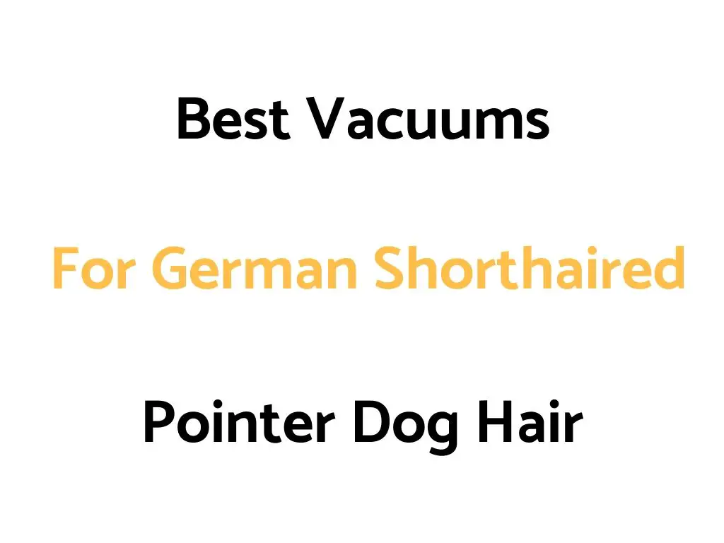 Best Vacuums For German Shorthaired Pointer Dog Hair