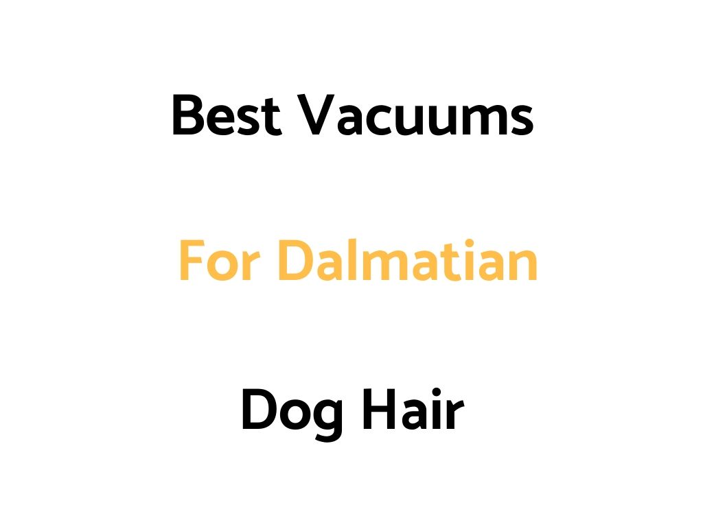 Best Vacuums For Dalmatian Dog Hair