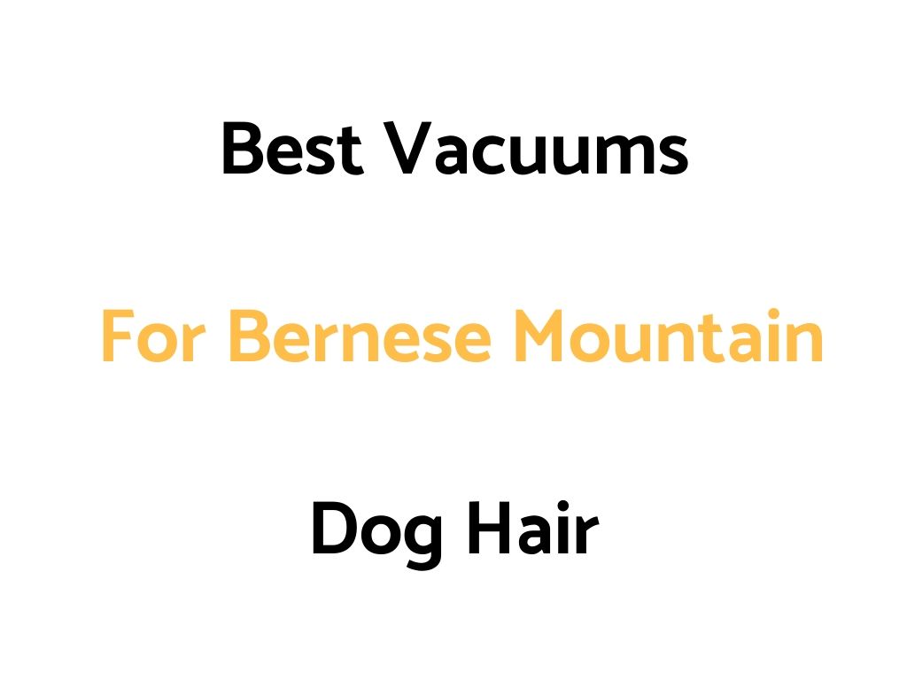 Best Vacuums For Bernese Mountain Dog Hair