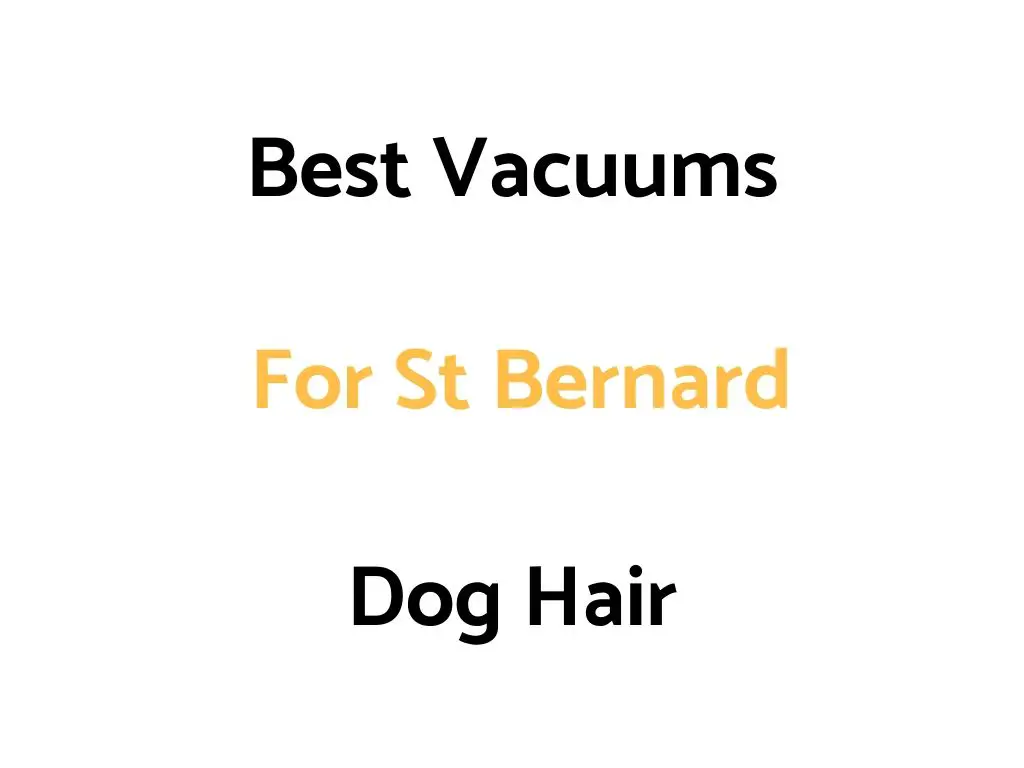Best Vacuums For St Bernard Dog Hair