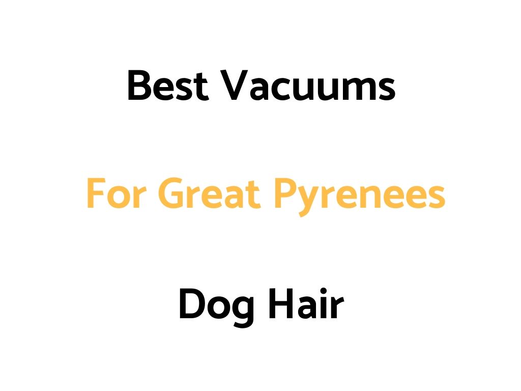 Best Vacuums For Great Pyrenees Dog Hair