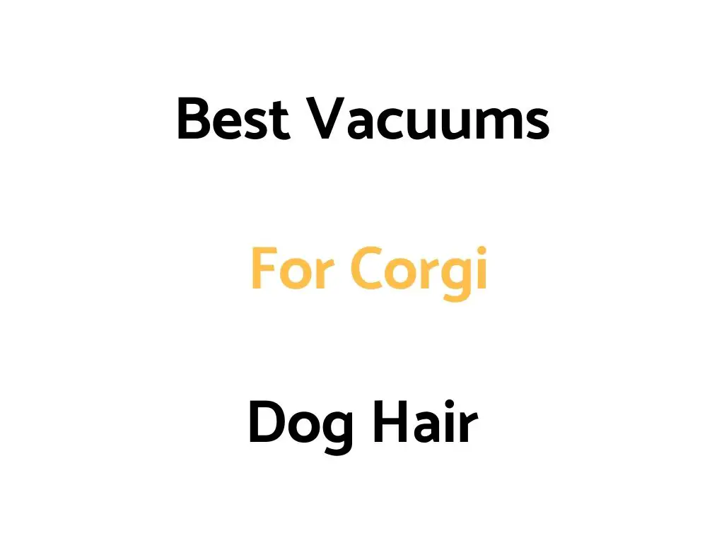 Best Vacuums For Corgi Dog Hair