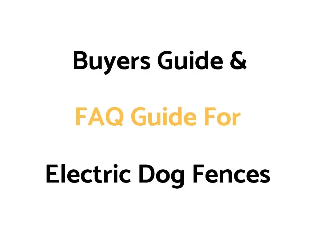 Buyers Guide & FAQ Guide For Electric Dog Fences