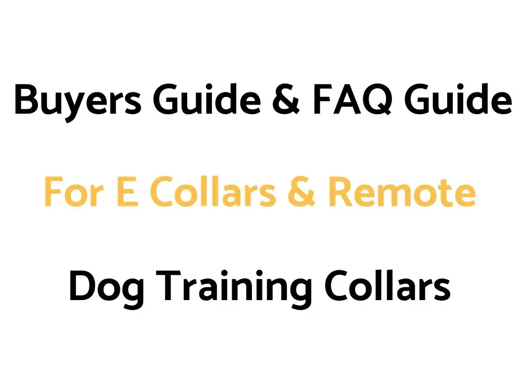 Buyers Guide & FAQ Guide For E Collars & Remote Dog Training Collars