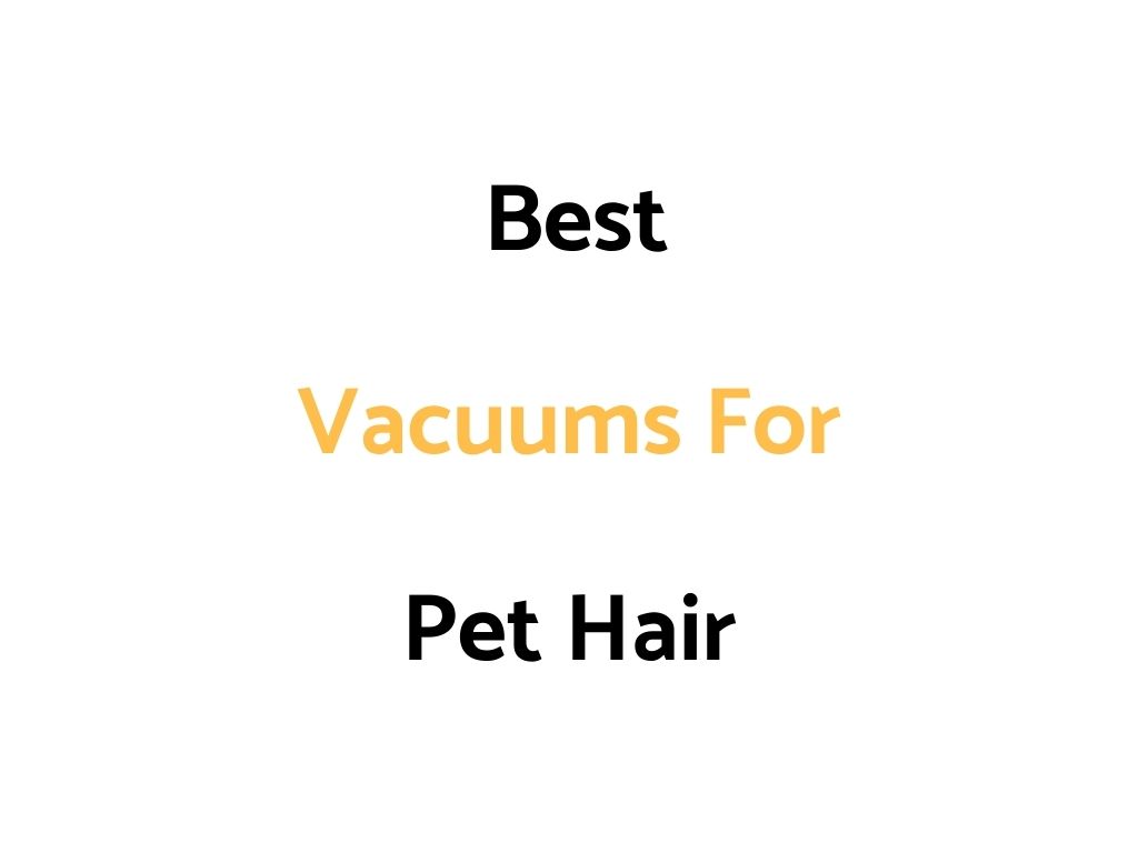 Best Vacuums For Pet Hair