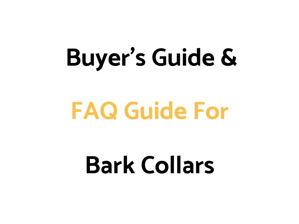 Buyer's Guide & FAQ Guide For Bark Collars