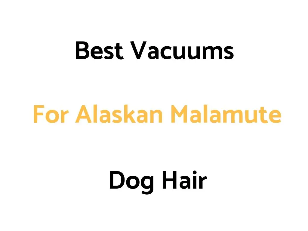Best Vacuums For Alaskan Malamute Dog Hair