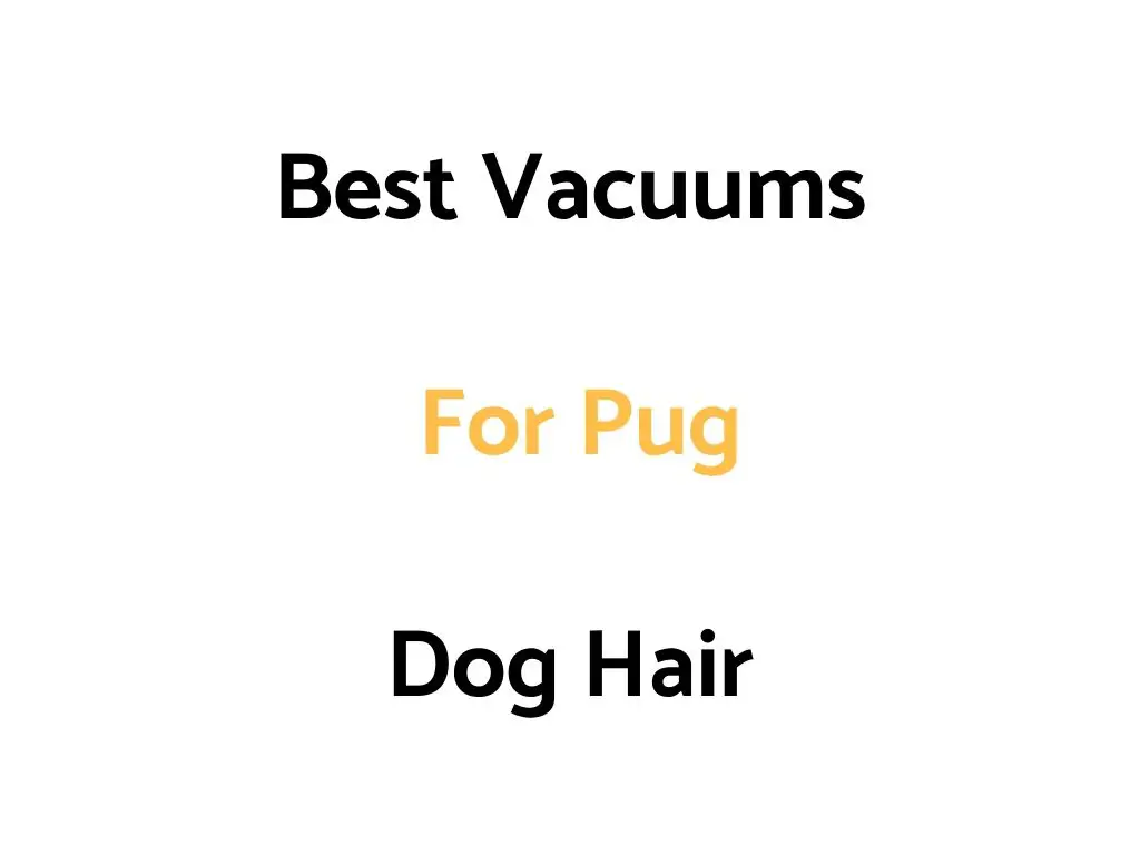Best Vacuums For Pug Dog Hair