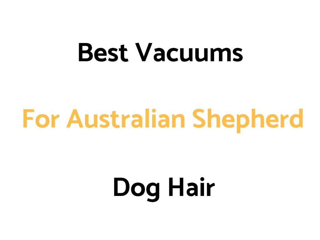 Best Vacuums For Australian Shepherd Dog Hair