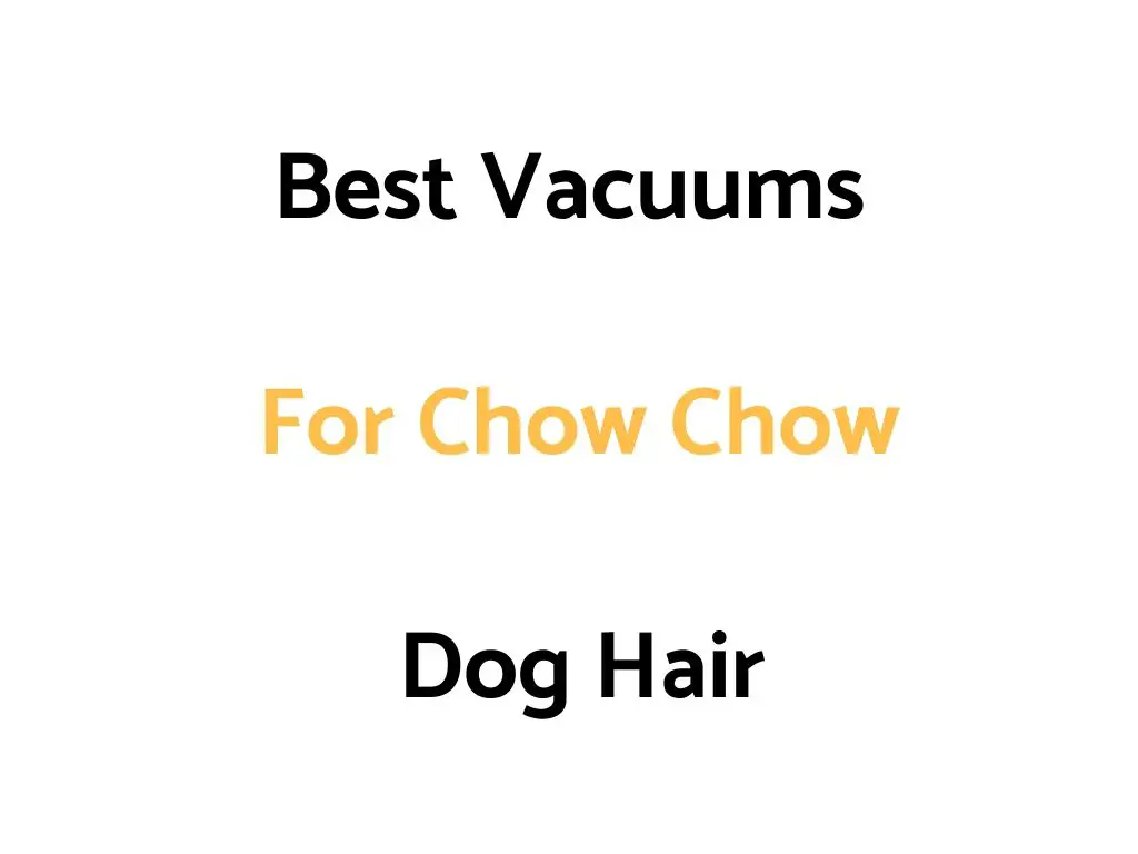 Best Vacuums For Chow Chow Dog Hair