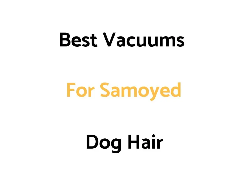 Best Vacuums For Samoyed Dog Hair