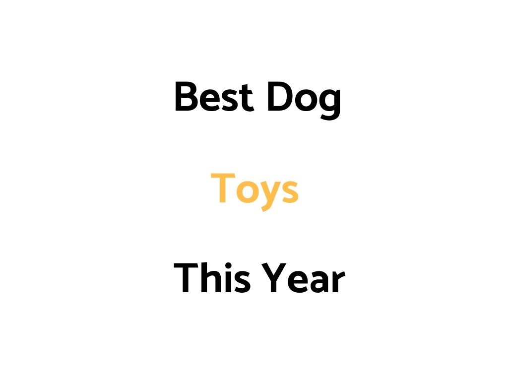 Best Dog Toys For Dogs & Puppies