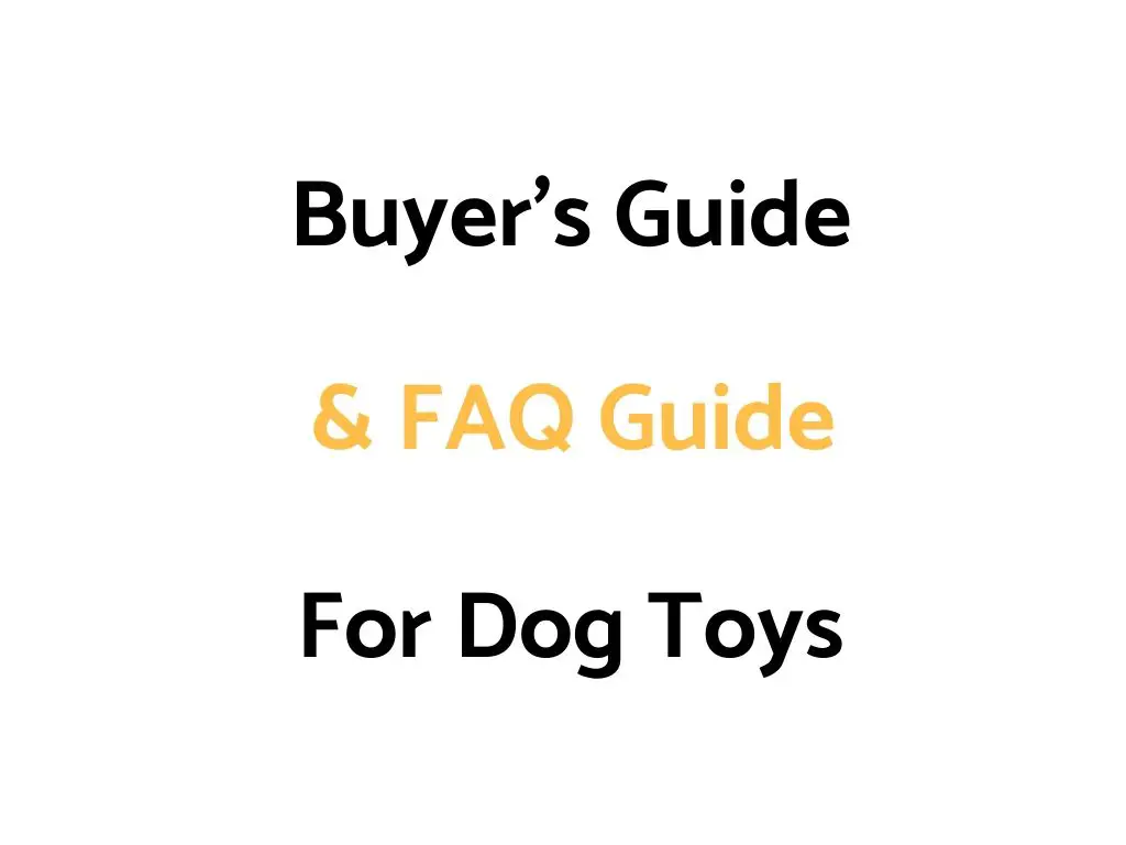 Buyer's Guide & FAQ Guide For Dog Toys