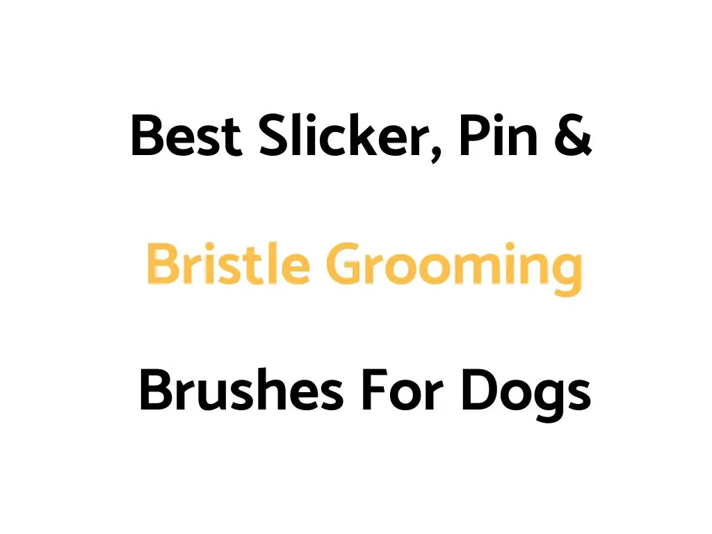 Best Slicker, Pin & Bristle Grooming Brushes For Dogs