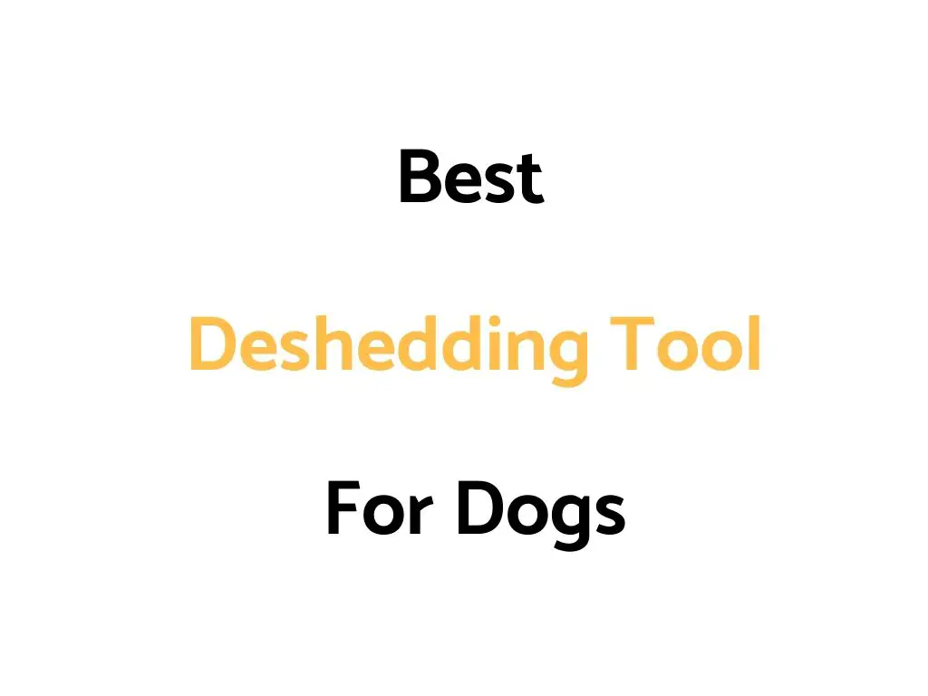 Best Deshedding Tool For Dogs: Reviews, & Buyer's Guide