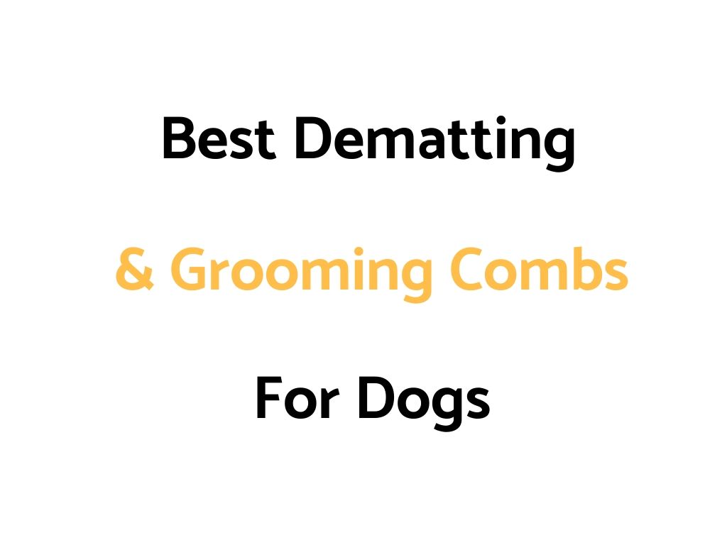 Best Dematting & Grooming Combs For Dogs