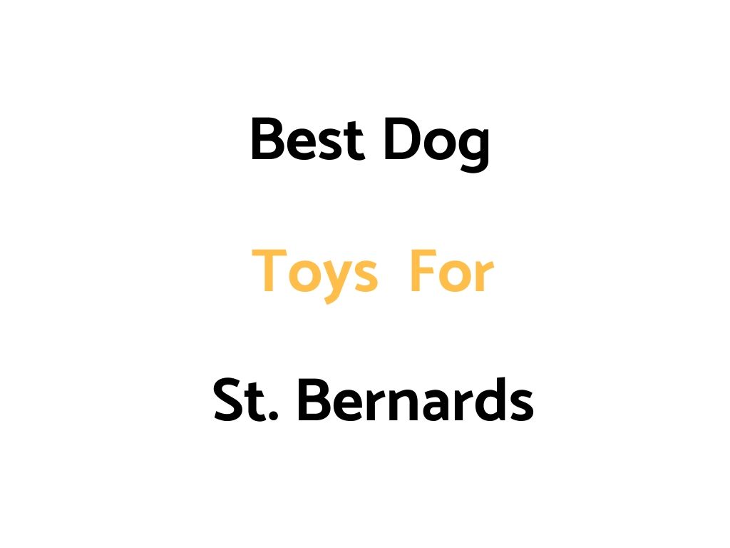 Best Dog Toys For St. Bernards