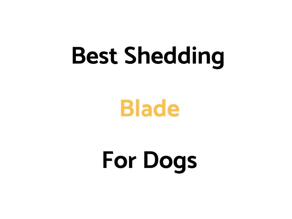 Best Shedding Blade For Dogs