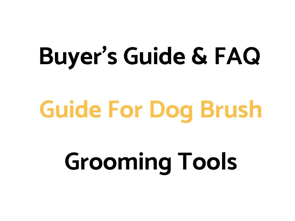 Buyer's Guide & FAQ Guide For Dog Brushes, Deshedding Tools, Combs, Undercoat Rakes & Shedding Blades