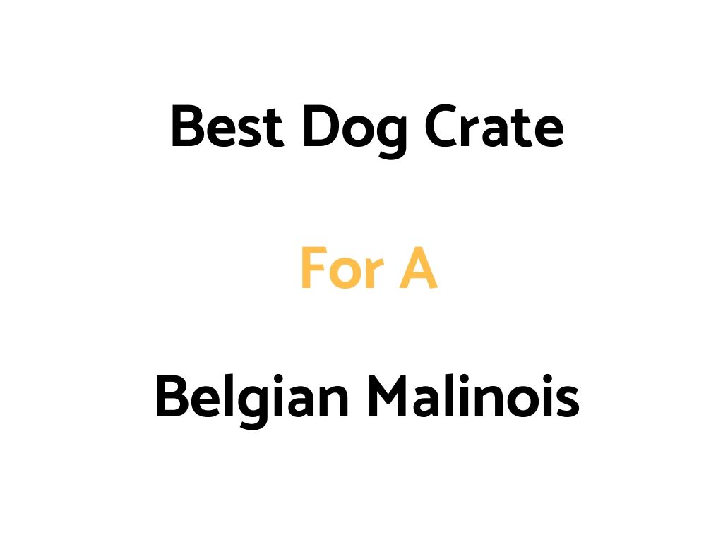 Best Dog Crate For A Belgian Malinois: Top Crates, & Buyer's Guide