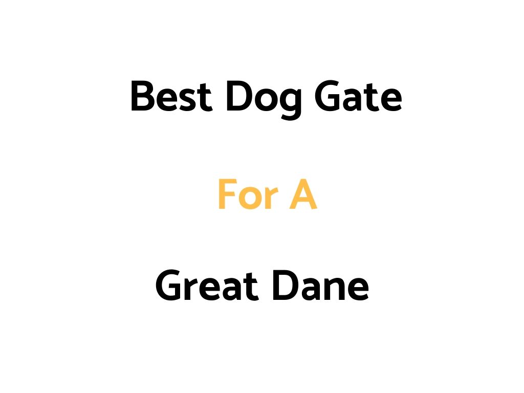 Best Dog Gate For A Great Dane