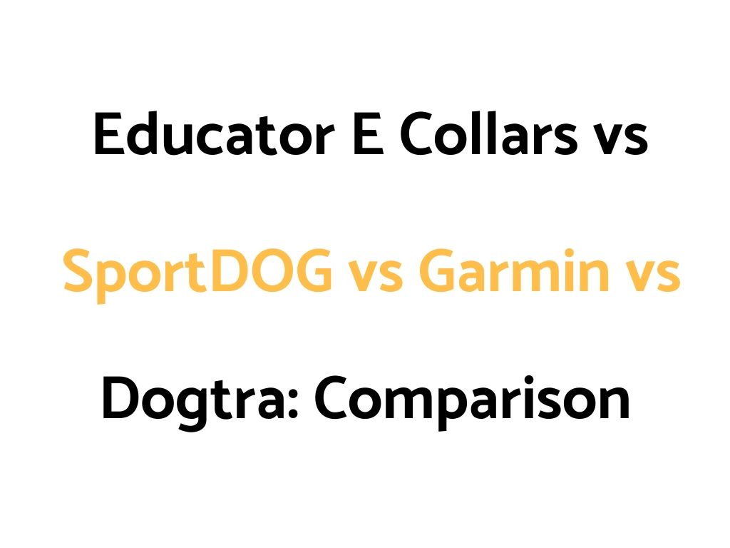 Educator E Collars vs SportDOG vs Garmin vs Dogtra: Remote Trainer Comparison Guide