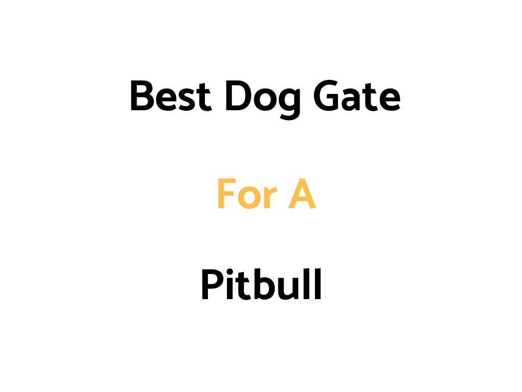 Best Dog Gate For A Pitbull