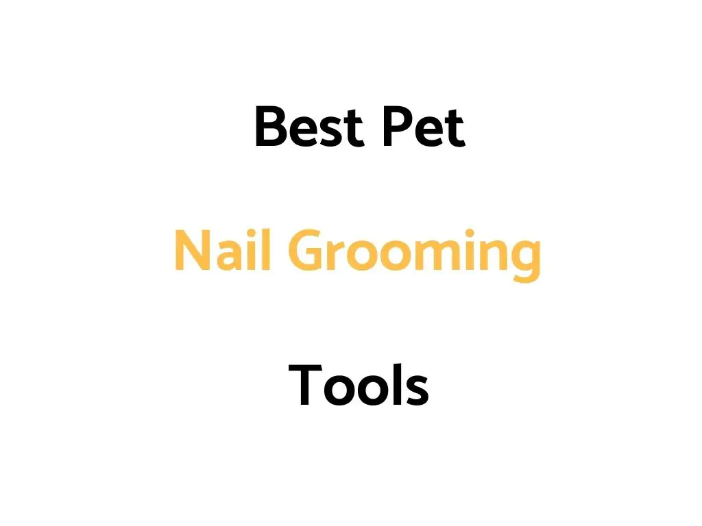 Best Pet Nail Grooming, Trimming & Grinding Tools