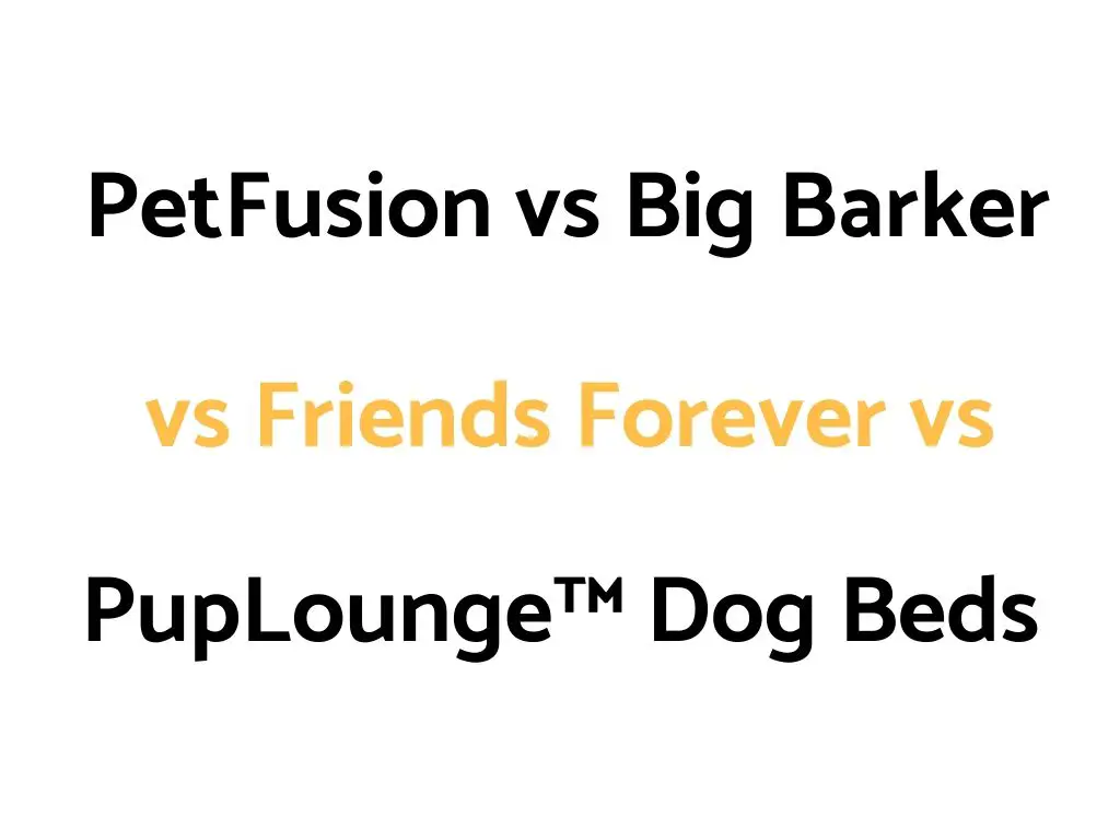 PetFusion vs Big Barker vs Friends Forever vs PupLounge™ Dog Beds: Comparison, & Which Is Best?