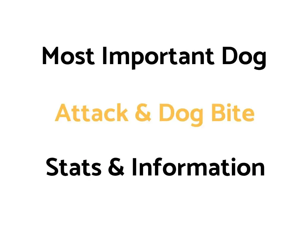 Most Important Dog Attack & Dog Bite Stats & Information To Know