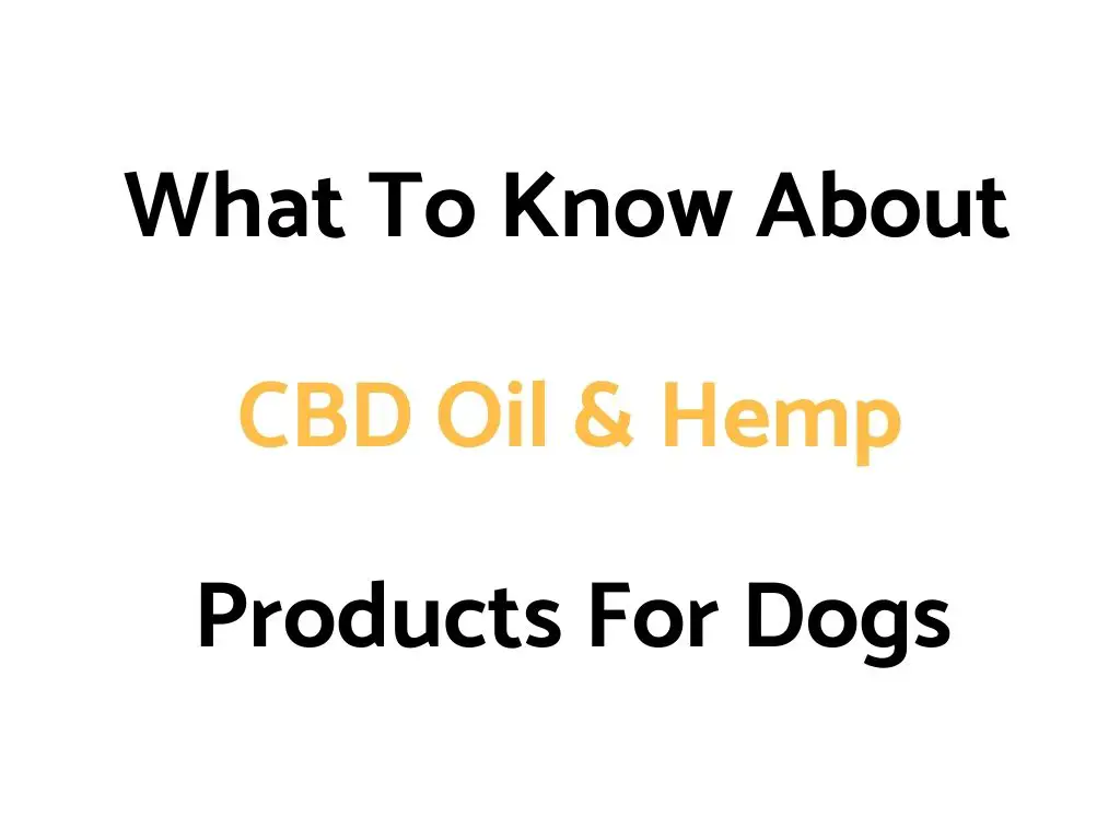 What To Know About CBD Oil & Hemp Products For Dogs (An Introduction Guide)