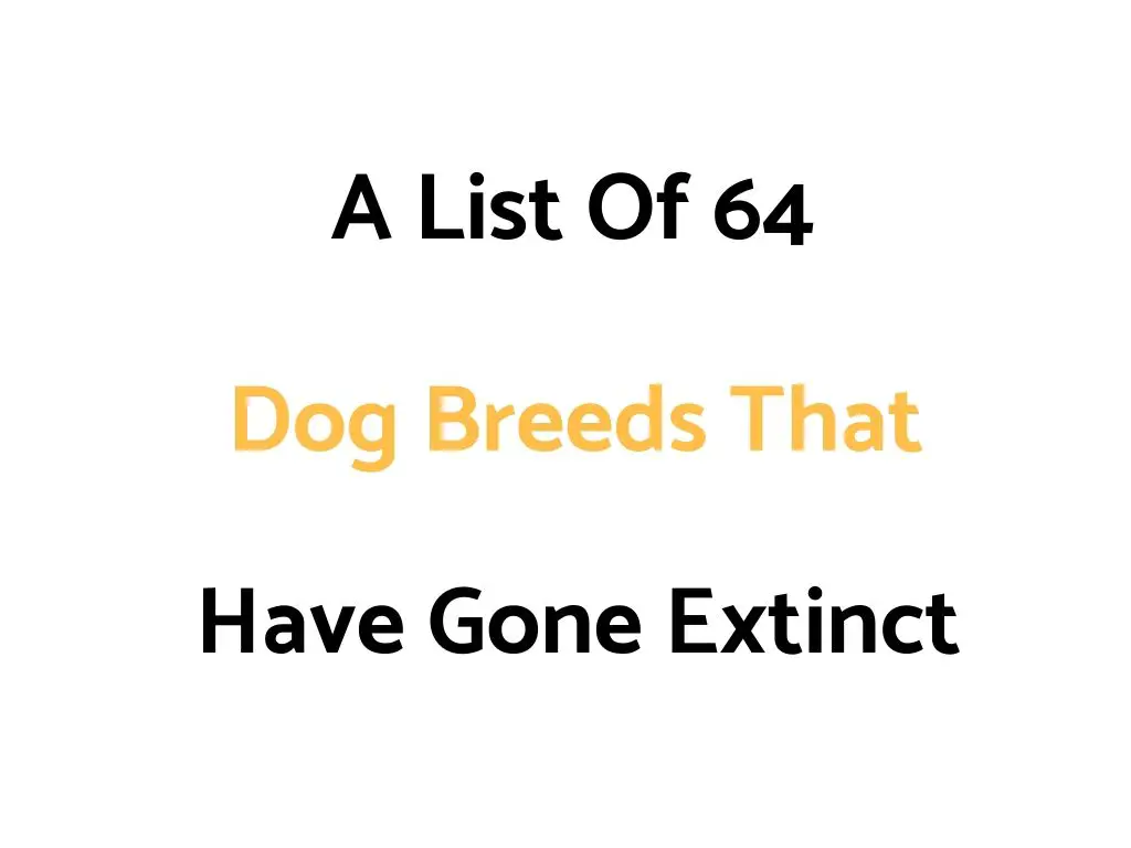 List Of Extinct Dog Breeds